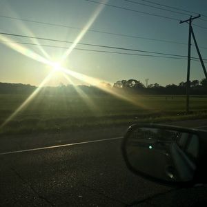 Meet your Posher, Arbour